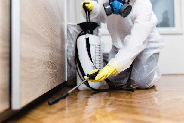 Best Mosquito Control Services  in Farmington, UT