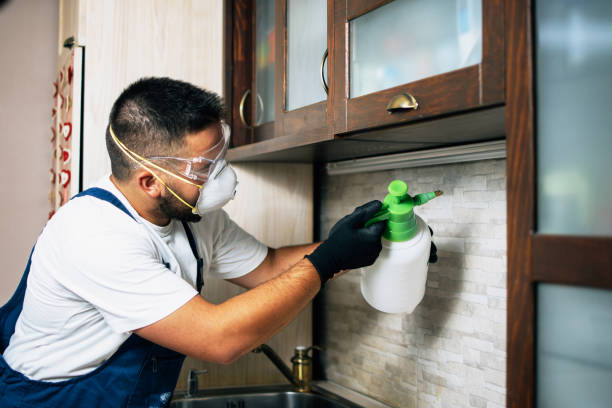 Best Best Pest Control Companies  in Farmington, UT