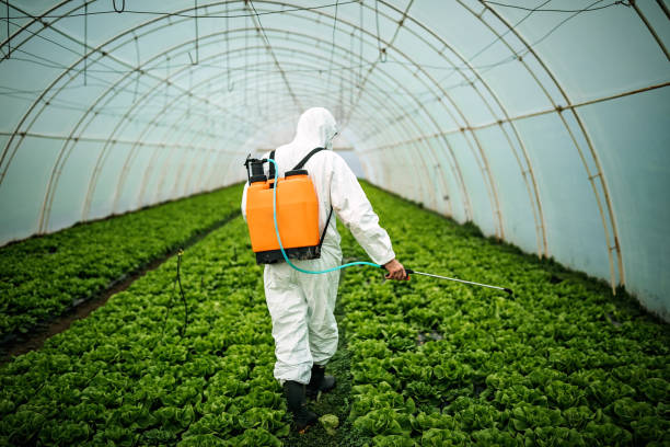 Best Pest Control Near Me  in Farmington, UT