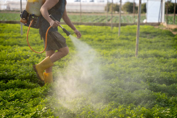 Best Wasp Removal Services  in Farmington, UT