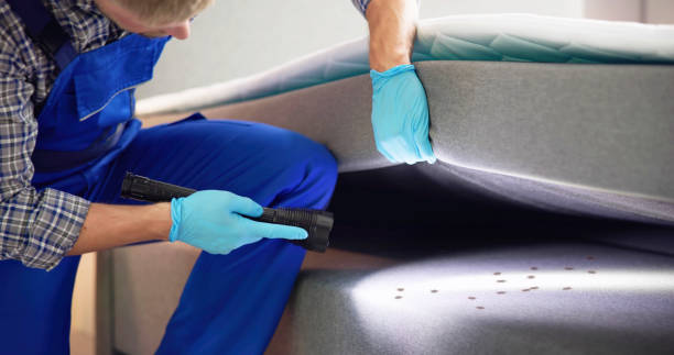 Best Cockroach Control Services  in Farmington, UT