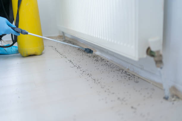 Best Residential Pest Control  in Farmington, UT