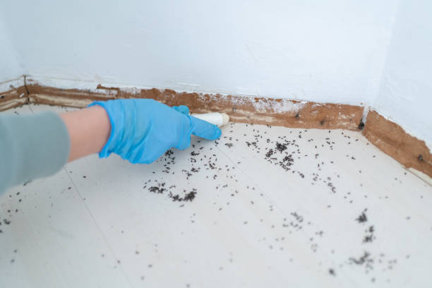 Best Residential Pest Control  in Farmington, UT
