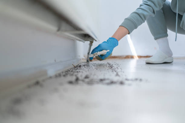 Best Wildlife Control Services  in Farmington, UT