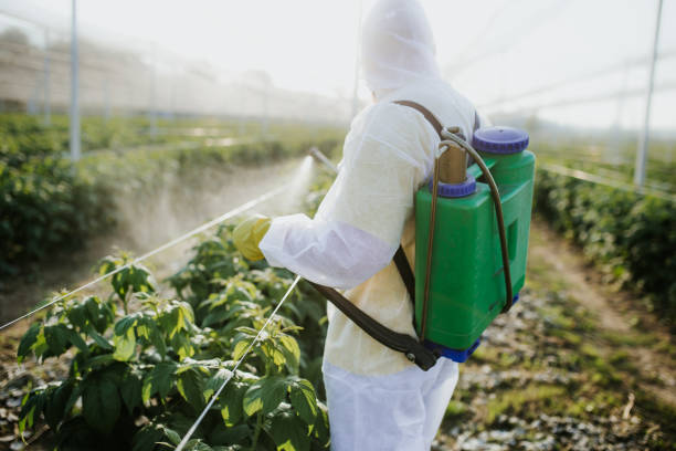 Best Exterminator Services  in Farmington, UT